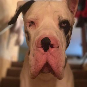 Meet your Posher, Walter